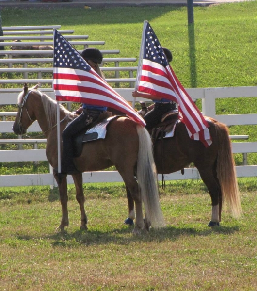 2013-clark-county-horse-show-10