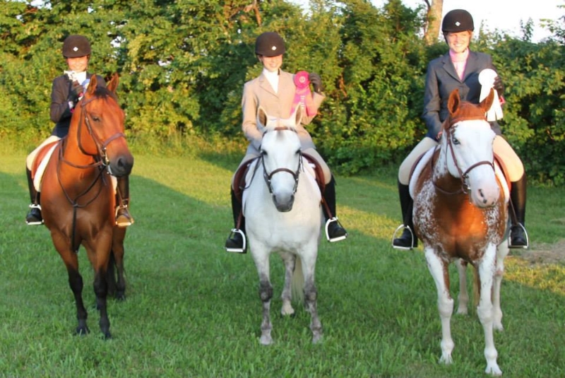 2013-clark-county-horse-show-25