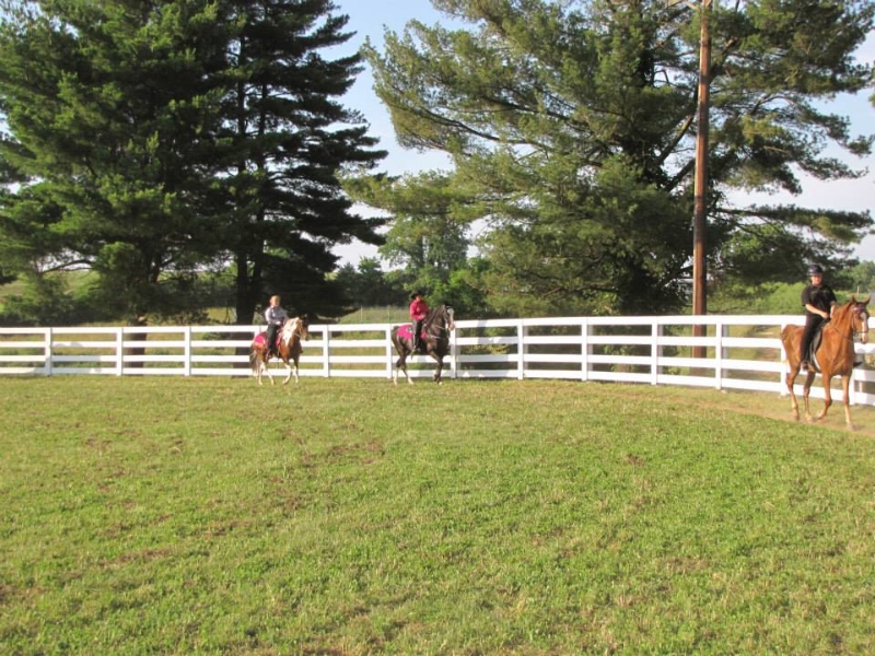 2013-clark-county-horse-show-27