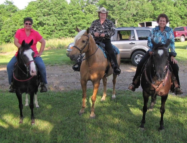2013-clark-county-horse-show-39