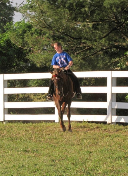 2013-clark-county-horse-show-40