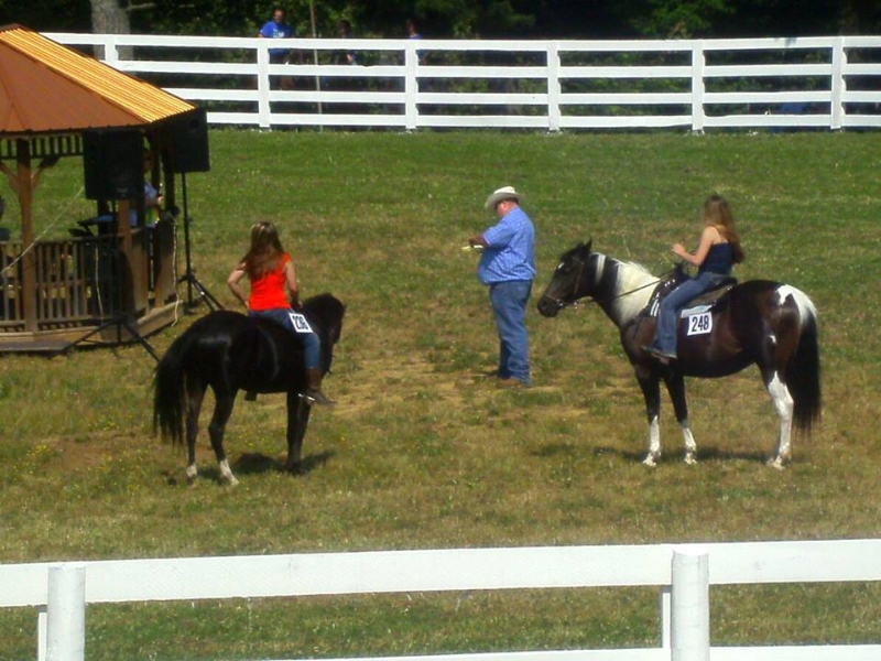 2013-clark-county-horse-show-42