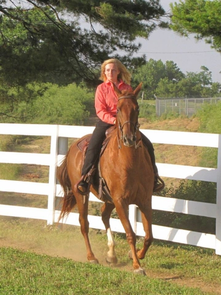 2013-clark-county-horse-show-44