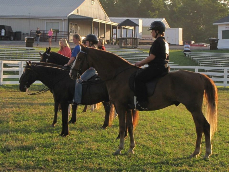 2013-clark-county-horse-show-45