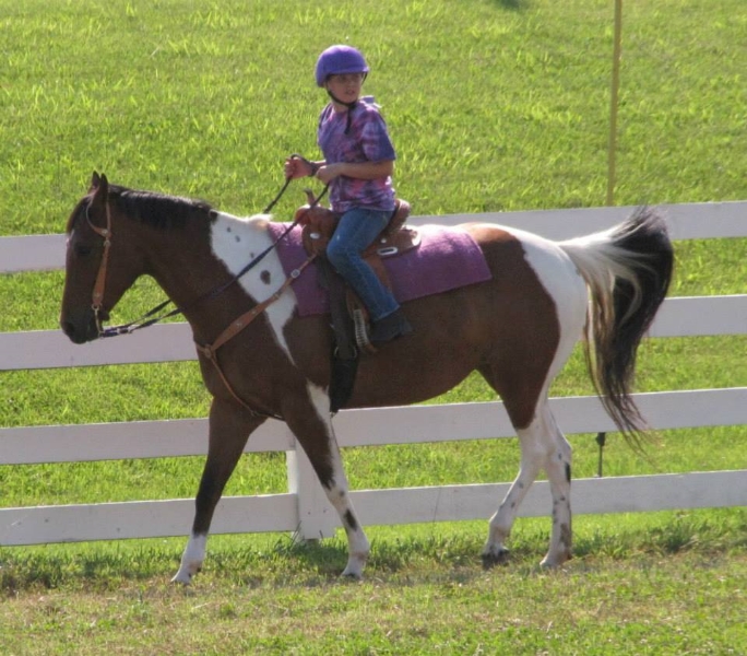 2013-clark-county-horse-show-5