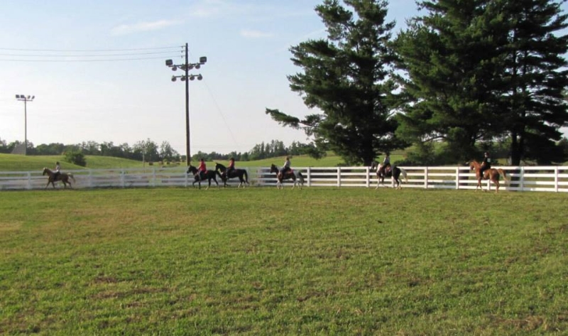 2013-clark-county-horse-show-8