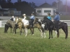 2013-clark-county-horse-show-18