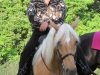 2013-clark-county-horse-show-23