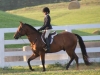 2013-clark-county-horse-show-47