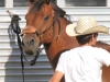 clark-county-fair-2013-166