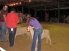clark-county-fair-2013-53